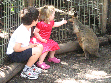 zach samantha & wallaby